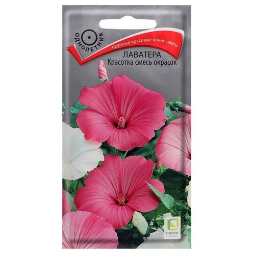 ���������� ������ ������ �������� 