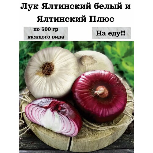 ���������� ��� ��������� ����� � ��������� ����, �������� ������NIK, �� 500 �� �� ���