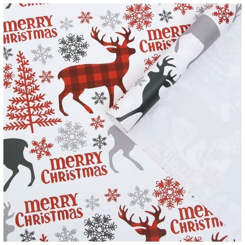 ���������� ������ ����������� ��������� 