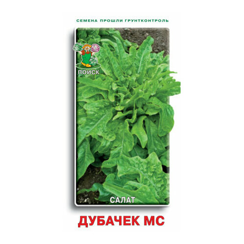 ���������� ������ ����� ������� �� �������� 1� ������ (�����)