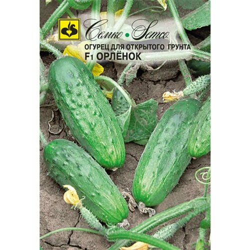 ���������� ������ 