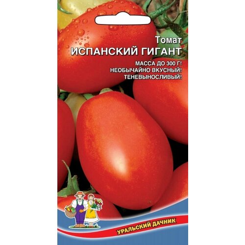 ���������� ������ ����� ��������� ������ 20�� ����� (��������� ������)