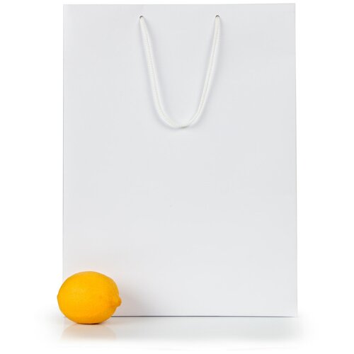 ���������� 12 �������� ���������� ������� 30*40*12. �����, ������������