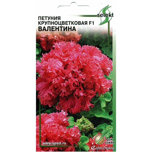 ���������� ������� ��������������� �������� F1 ���������, 10 �����