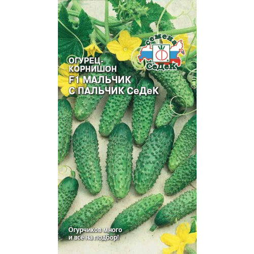 ���������� ������ ������ �������-�-������� ����� F1 �������� 0,2� ������������������ ������ (�����)