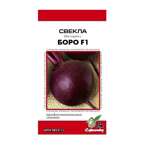 ���������� ������ ���� F1, 100 �����