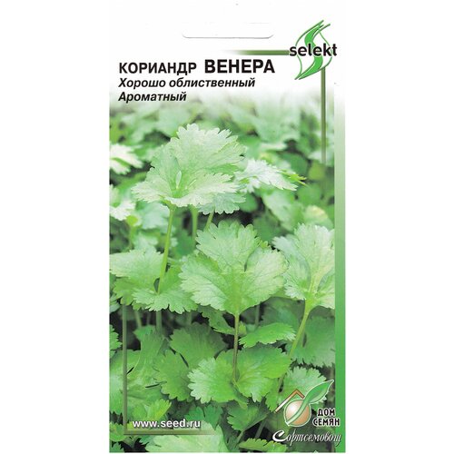 ���������� �������� ������, 115 �����