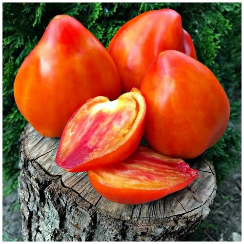 ���������� ������ ������ ����� �������� ����� 10 ��.