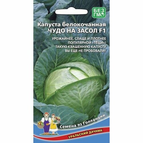 ���������� ������ ������� ������������ ���� �� ����� F1 0,3�