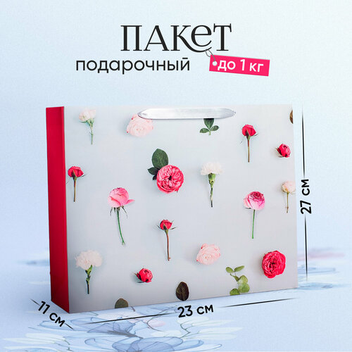 ���������� ����� ���������� �������������� ��� ���������, 23 ? 27 ? 11 ��