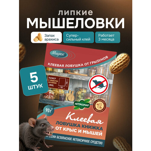 ���������� ������� ��� ����� � ���� Maguse, ������� ������� ������ �� ���� � ����� BASE, 5 ��