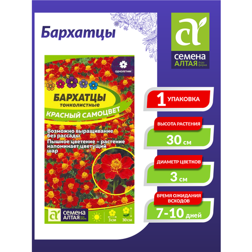 ���������� ������ �������� ������� �������� ������������ ���������� 0,1 ��.