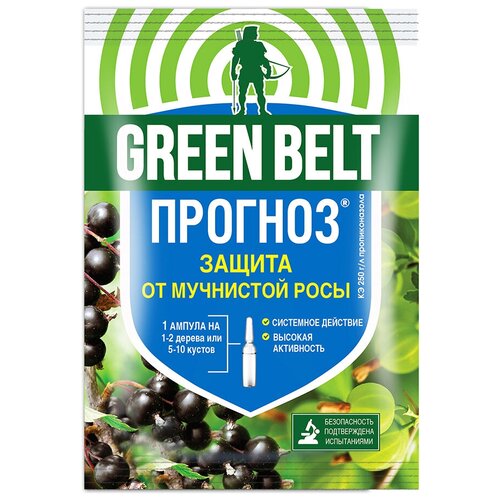���������� �������� �� �������� �������� ������� GREEN BELT ������ 5 ��