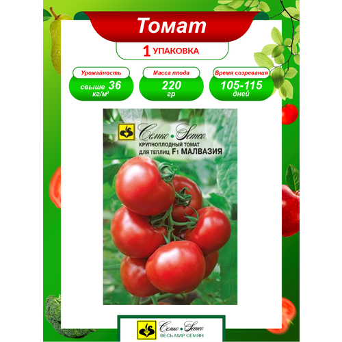 ���������� ������ ����� �������� F1 ����������� 5 ��./��.