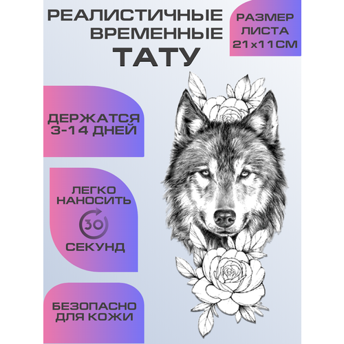 ���������� ���� ���������� ��������������, ��������� ����