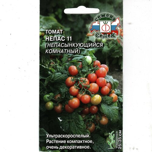 ���������� ����� ����� 11, ���������, ���������������, ����������������� ( 1 ��: 0,1 � )