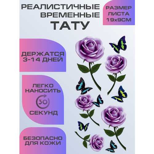 ���������� ���� ���������� ��������������, ��������� ���� ����