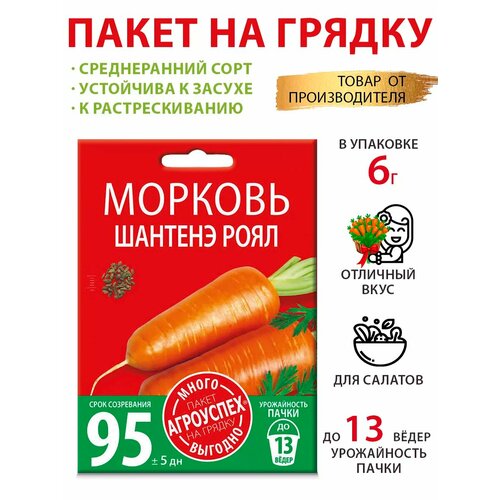 ���������� ������ ������� ������� ���� 6�