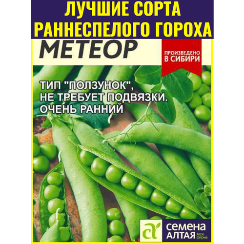 ���������� ������ ����� ������