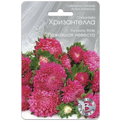 ���������� ������ ����� ��������� ����������� ��������� ������� (30 �����)