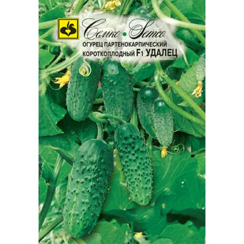 ���������� ������ ������ ������ F1 10�� ������������������ ������ (�����)