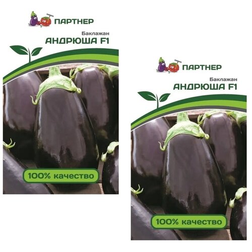 ���������� ������ �������� ������� F1 /��������� �������/ 2 �������� �� 10 �����