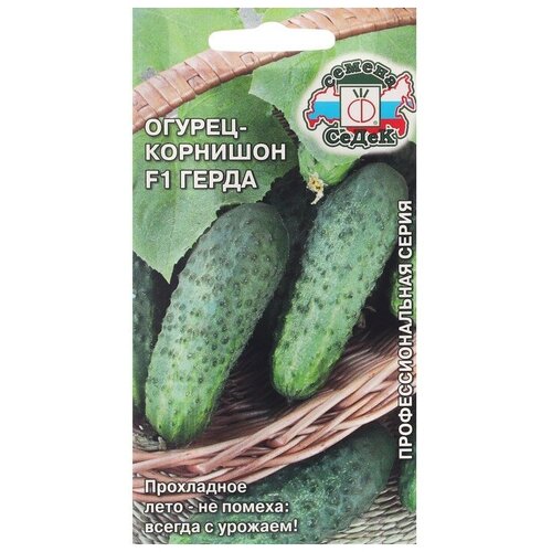 ���������� ������ ������� ����� ����� F1 0,3 �