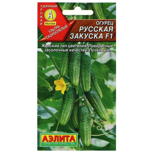 ���������� ������ ������ 