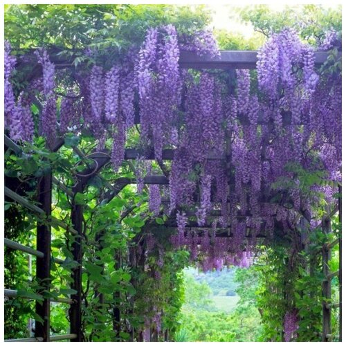 ���������� ������ ������ �������� ��������� 5 ��.