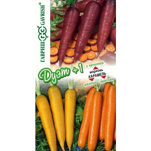 ���������� ������ ������� �������� ������ 0,08�+�������� ������� 0,1�+�������� � �������� 0,1� (������) ����+1