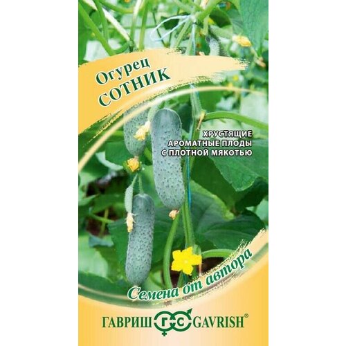 ���������� ������ ������ ������ F1 5�� ������������������ ������ (������) ����� �24