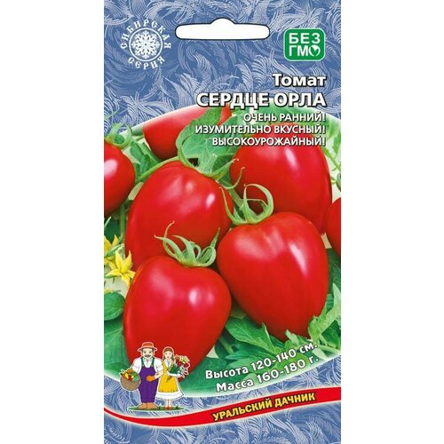 ���������� ������ ����� ������� ������ (������ ����) 20�� ����� ������ (��������� ������)