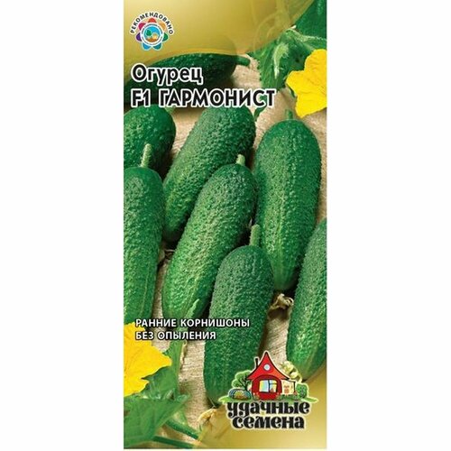 ���������� ������ ������ ��������� F1 (������������������) (������) 10�� (������� ������)