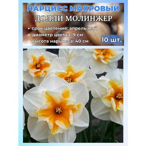 ���������� ������� ��������, �������� 10 ����