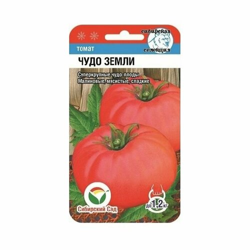 ���������� ����� ���� ����� 20 �� ��������� ���