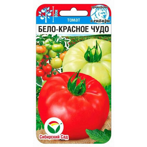 ���������� ����� ����-������� ����