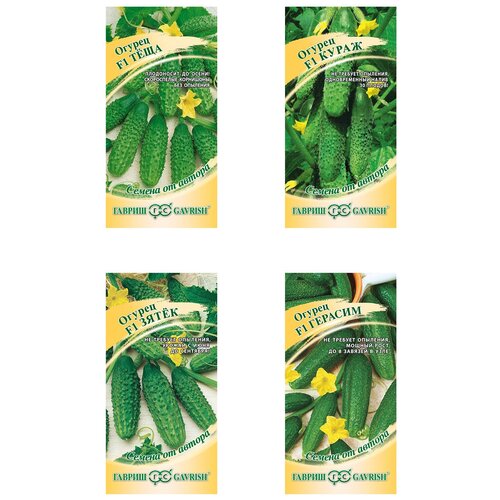 ���������� ����� �����, ������ ������� ����, �����, �����, �������