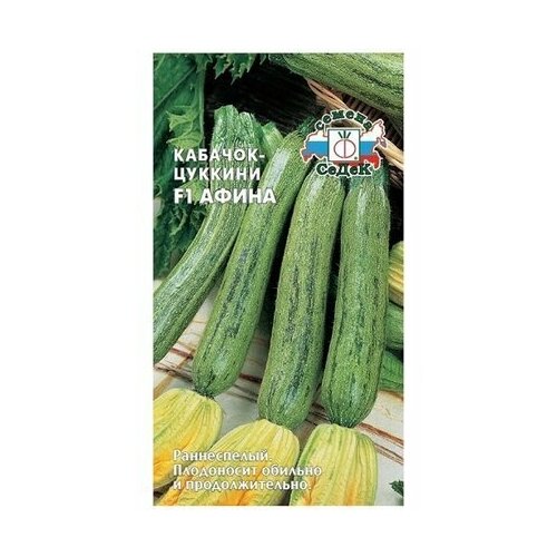 ���������� ������ �������� ����� ������ ����� F1 1 �