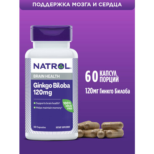 ���������� Ginkgo Biloba ����., 120 ��, 70 �, 60 ��., 1 ��.