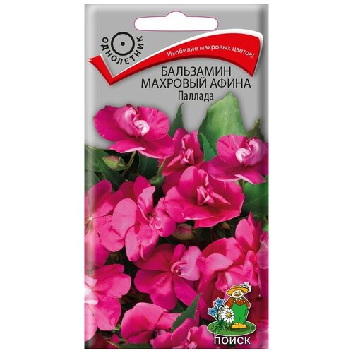 ���������� ������ ��������� �������� ����� ������� ���������� 5 ��.