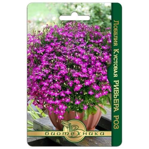 ���������� ������ ������� �������� ������� ��� 10 ���� ����� ����������