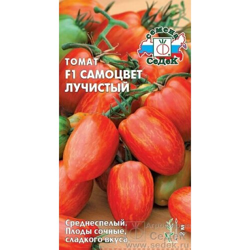 ���������� ����� �������� �������� F1