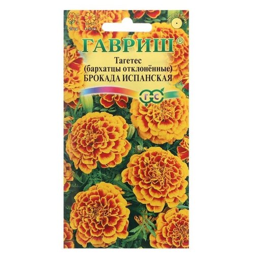 ���������� ������ ������ �������� ����������� (�������) 