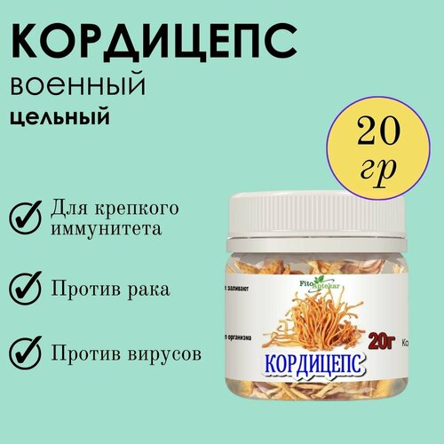 ���������� ��������� 