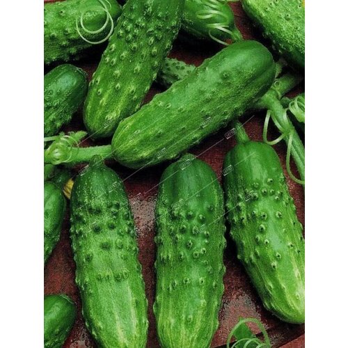 ���������� ������ ������ ������� ��������� �������� - 0,5 �. ����������������� ��������� ���� ��� ��������� ������