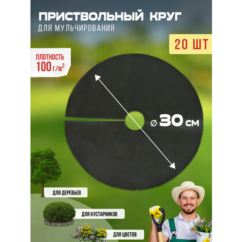 ���������� ������������ ���� ��� ������������� 100 ��/�2, ������� 30 ��, 20 �� ������