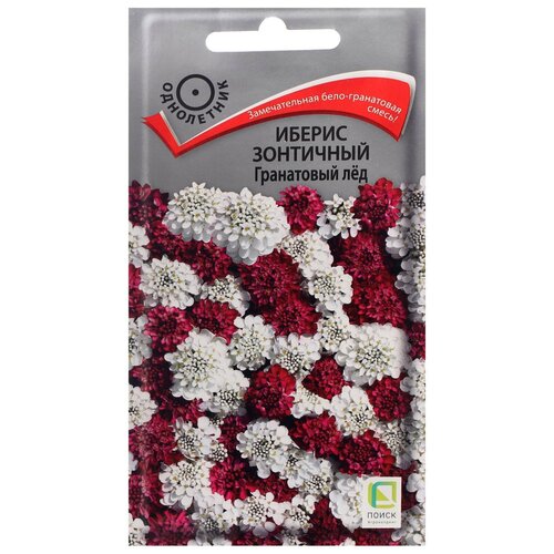 ���������� ������ ������ ������ ��������� ���������� ��� 0,1 �