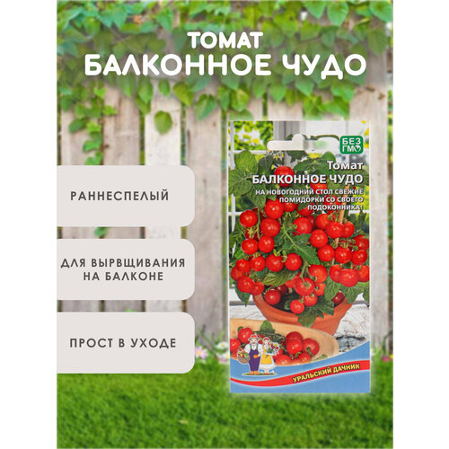 ���������� ������ ������� ��������� ����, ��� ������� � �����������