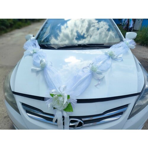 ���������� ��������� ���������� ����� �� ������ 