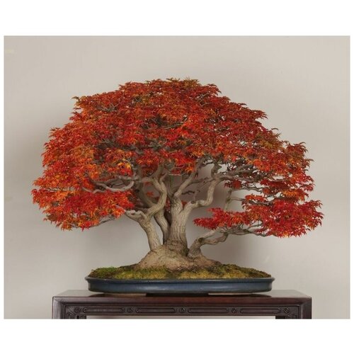 ���������� �������� ��������� - ������ ������